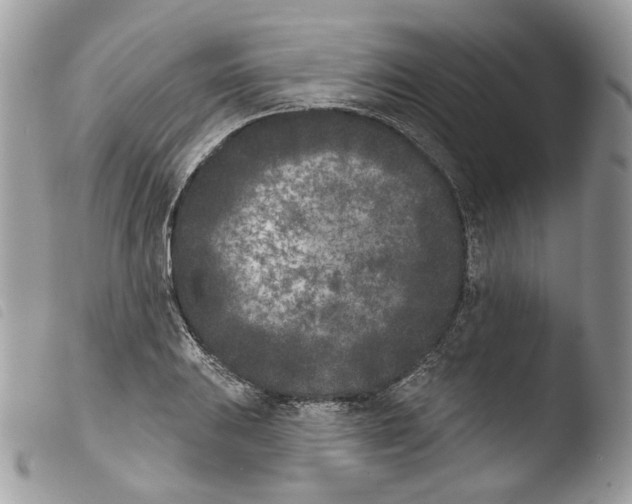 X0000103911031200810171700