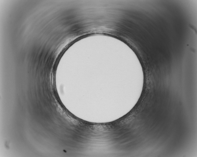 X0000103911032200810171700