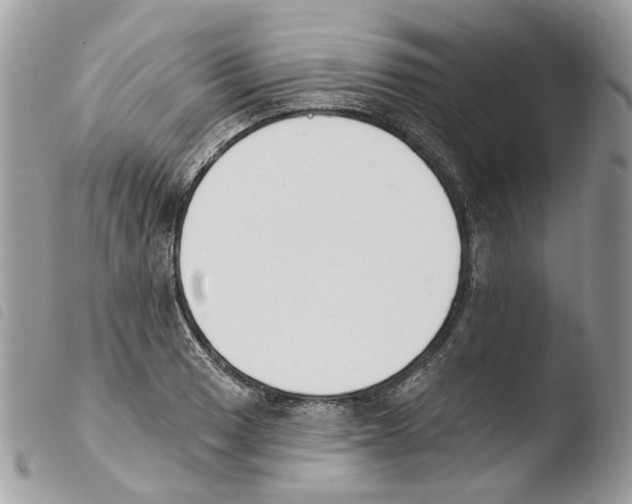 X0000103911033200810171700