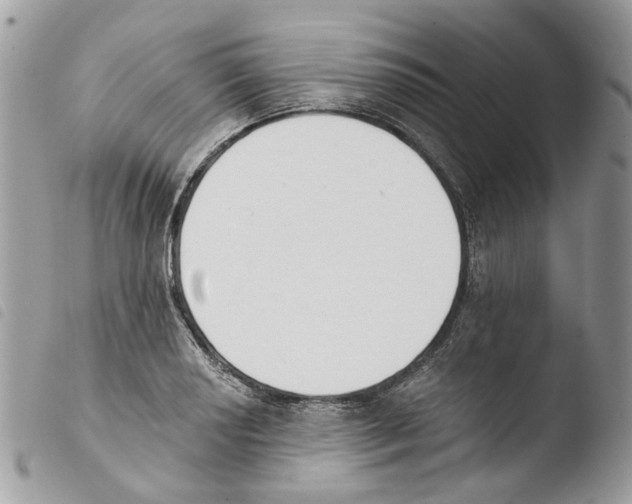 X0000103911034200810171700