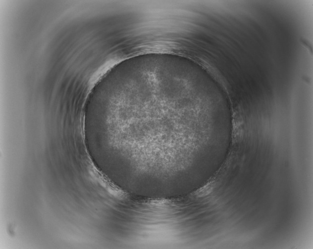 X0000103911035200810171700