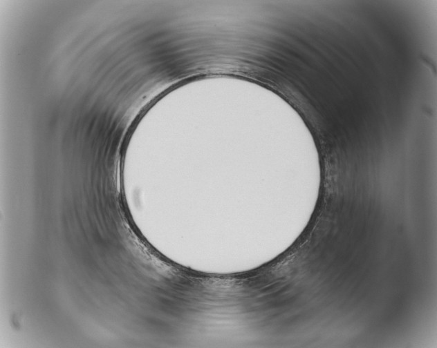 X0000103911036200810171700