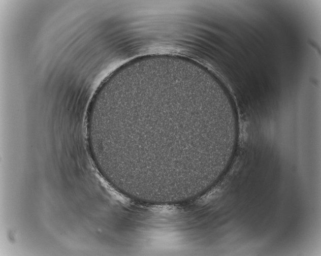 X0000103911037200810171701