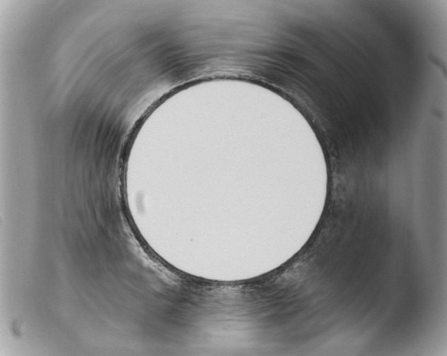 X0000103911038200810171701