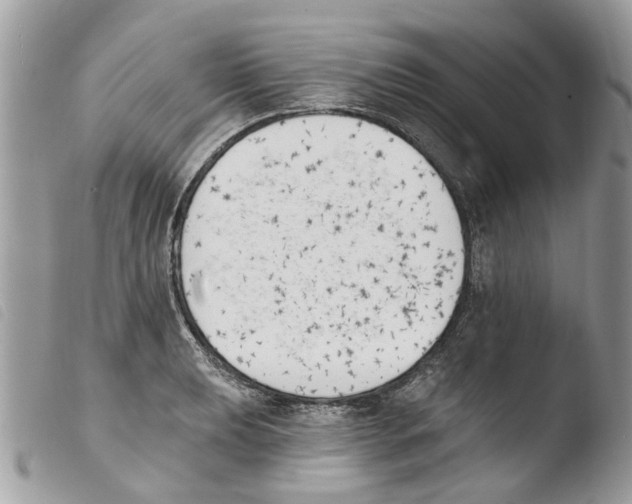 X0000103911039200810171701