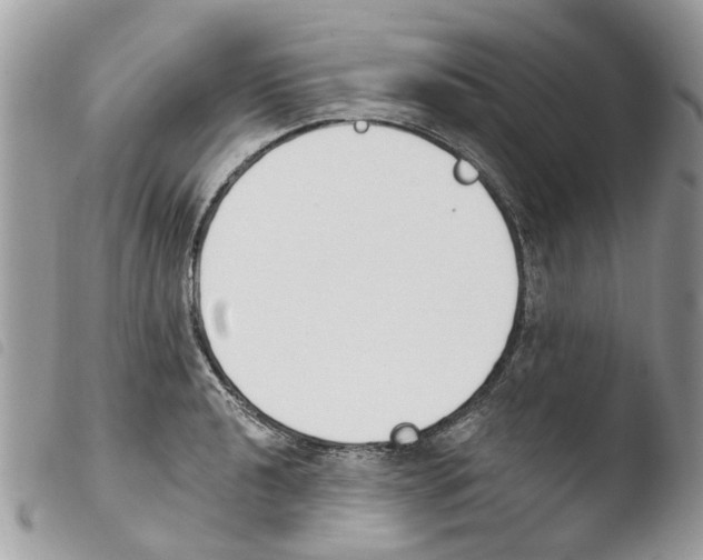 X0000103911040200810171701