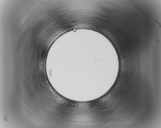 X0000103911041200810171701
