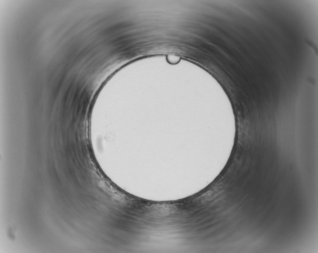 X0000103911044200810171701