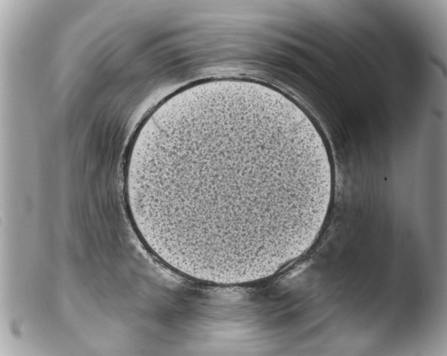 X0000103911045200810171701