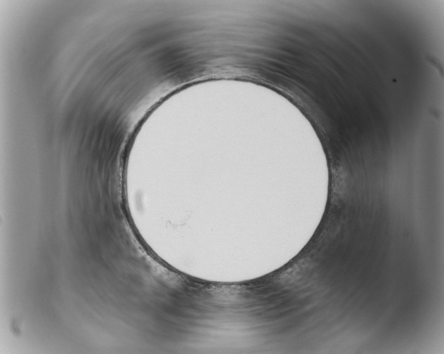 X0000103911046200810171701