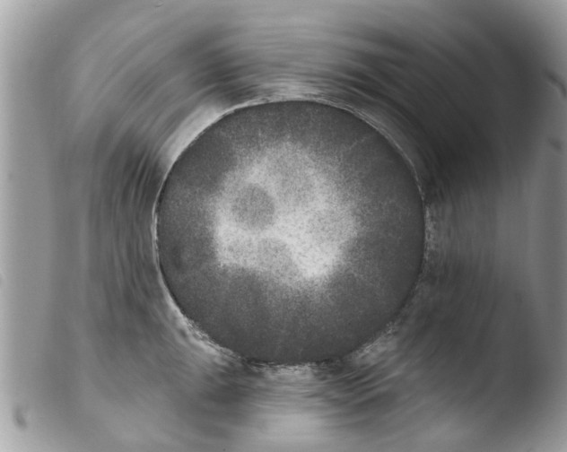 X0000103911047200810171701