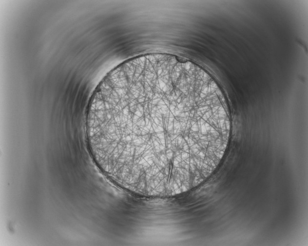X0000103911048200810171701