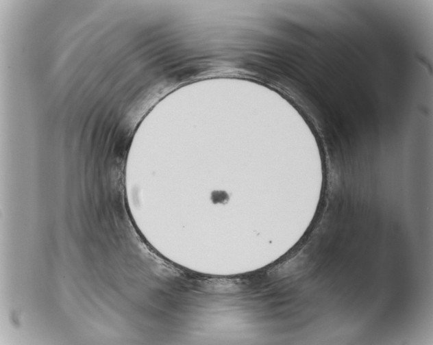 X0000103911049200810171701