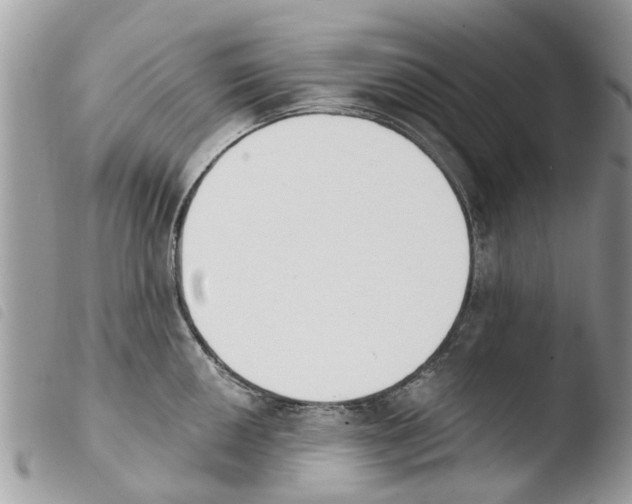 X0000103911050200810171701