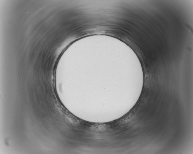 X0000103911051200810171701