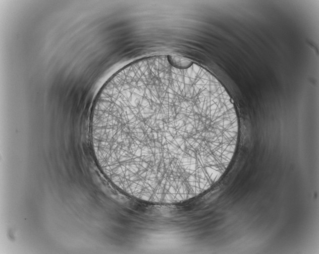 X0000103911052200810171701