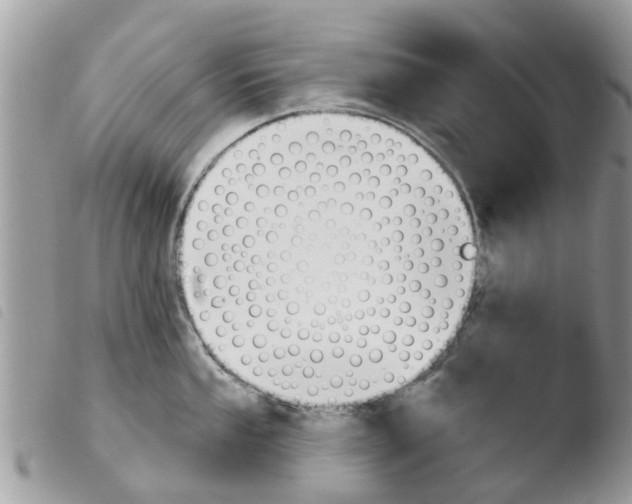 X0000103911053200810171701