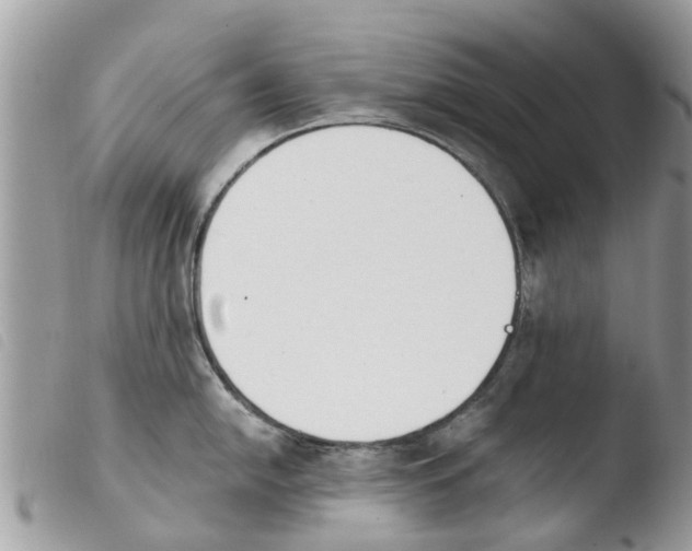 X0000103911054200810171701