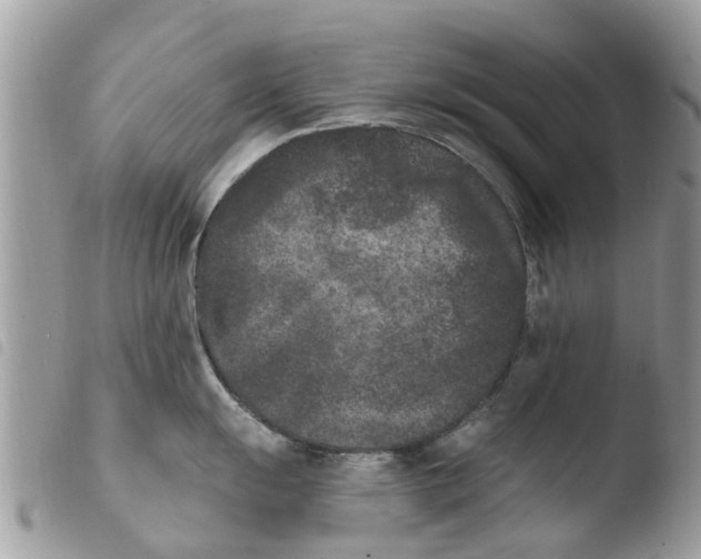 X0000103911055200810171701
