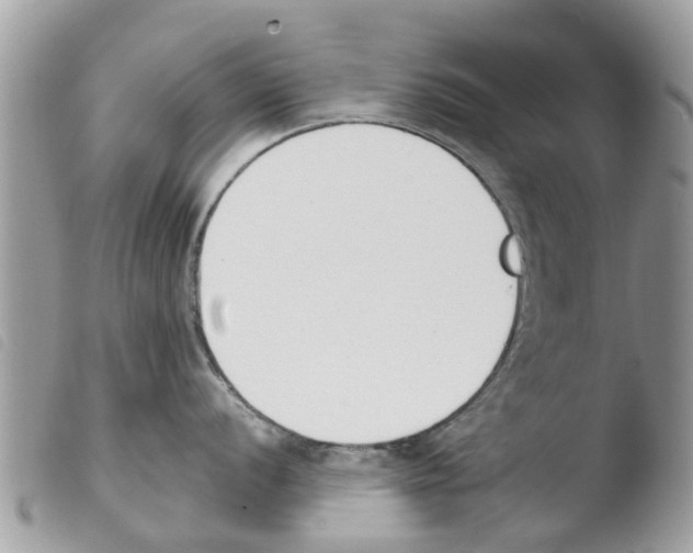 X0000103911056200810171701