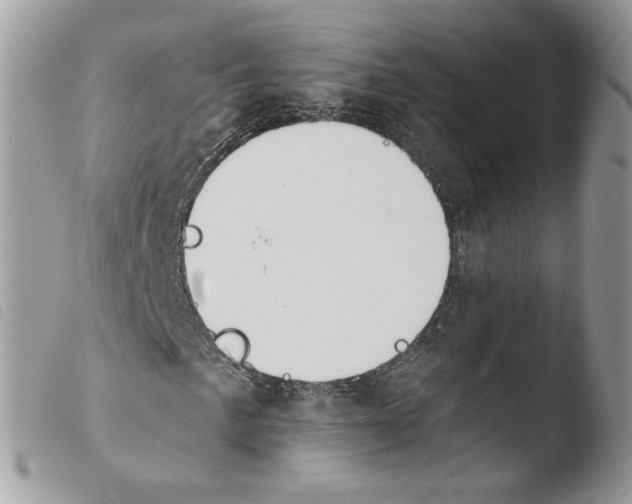 X0000103911057200810171700