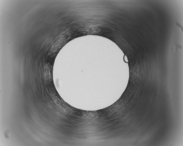X0000103911058200810171700