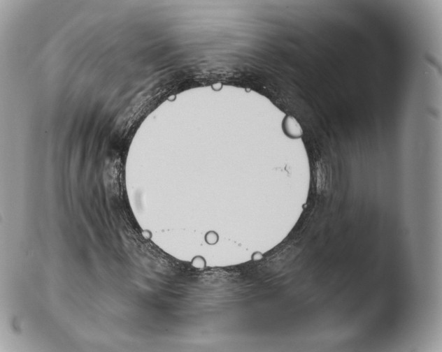 X0000103911059200810171700