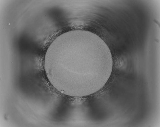 X0000103911060200810171700