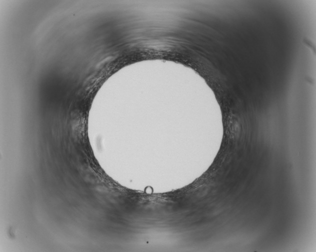 X0000103911061200810171700