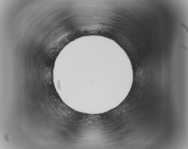 X0000103911062200810171700