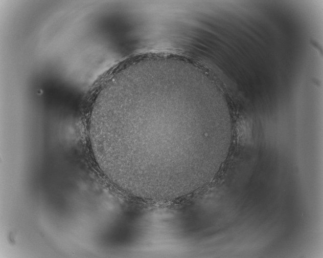 X0000103911064200810171700