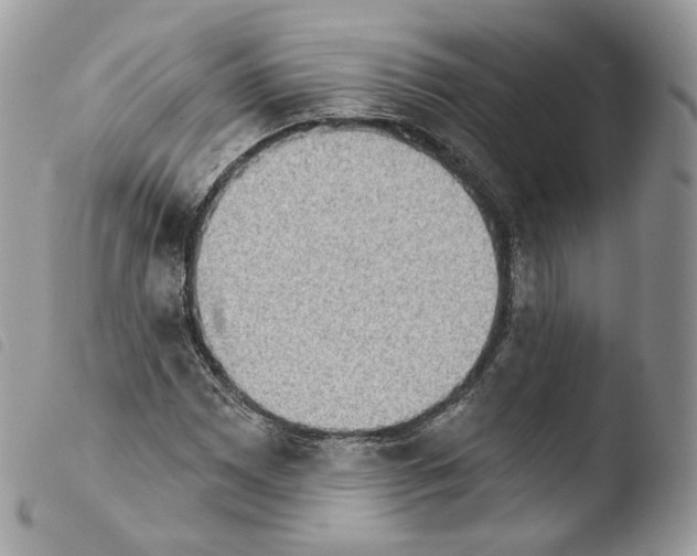 X0000103911065200810171700