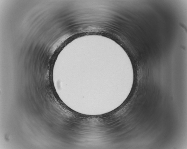 X0000103911066200810171700