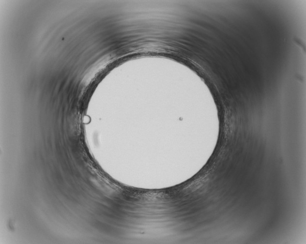 X0000103911067200810171700