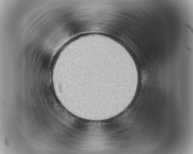 X0000103911069200810171700