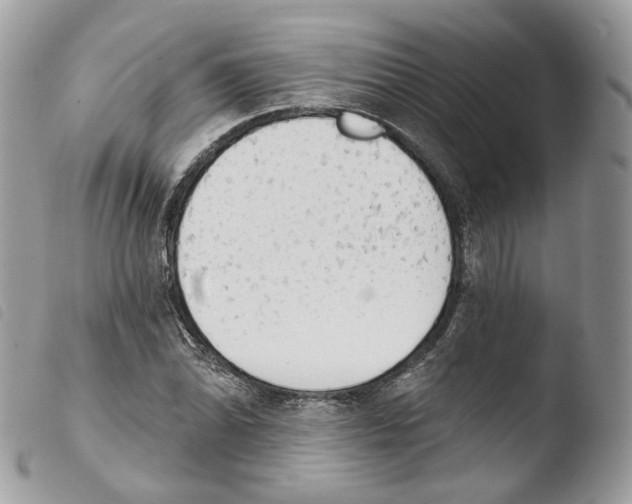 X0000103911070200810171700