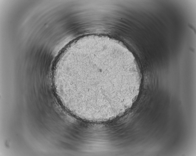 X0000103911071200810171700