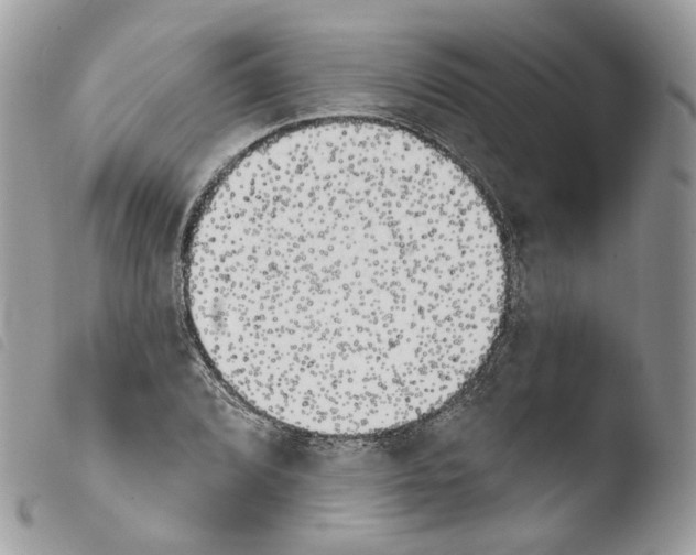 X0000103911072200810171700