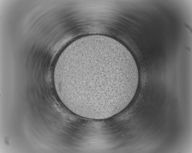 X0000103911074200810171700