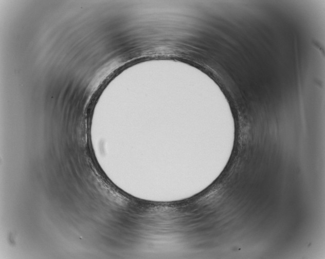 X0000103911075200810171700