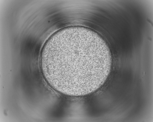 X0000103911076200810171700