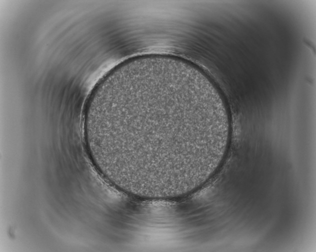 X0000103911077200810171700