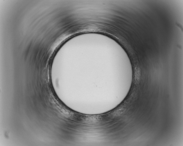 X0000103911078200810171700
