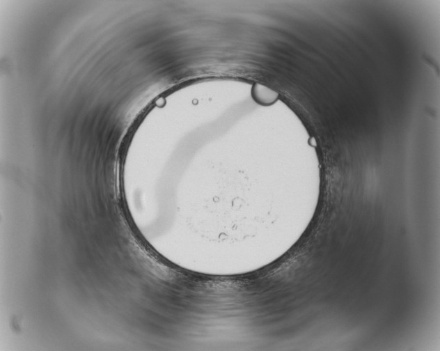 X0000103911079200810171700