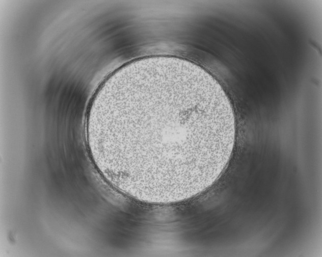 X0000103911080200810171700