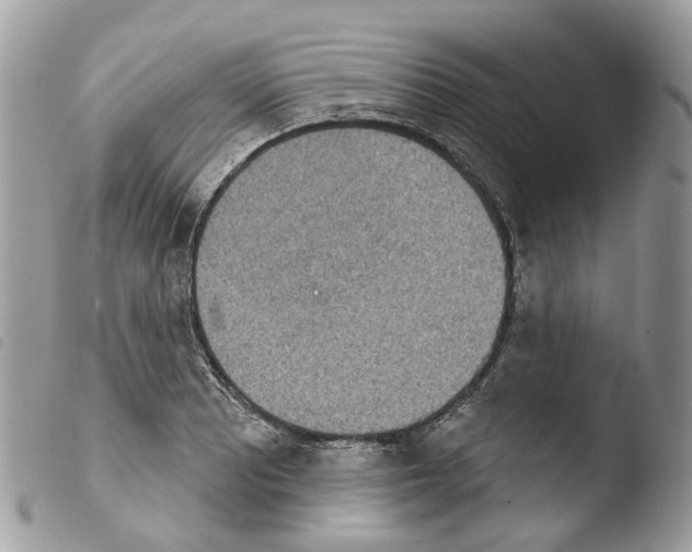 X0000103911081200810171700