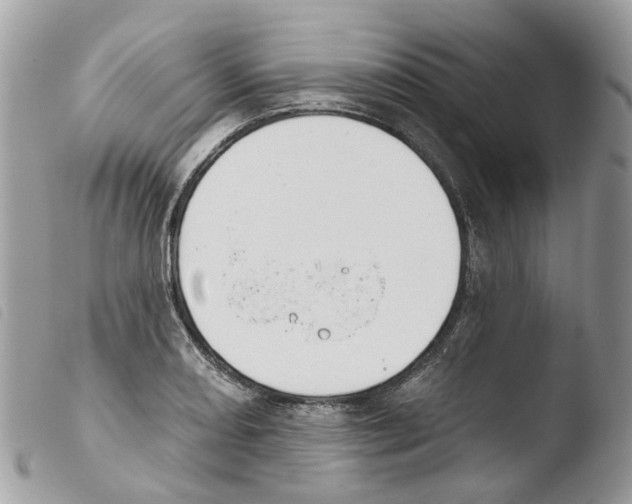 X0000103911082200810171700