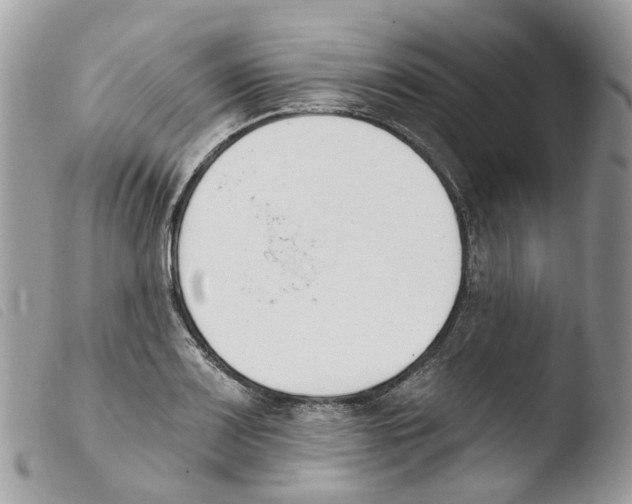 X0000103911083200810171700