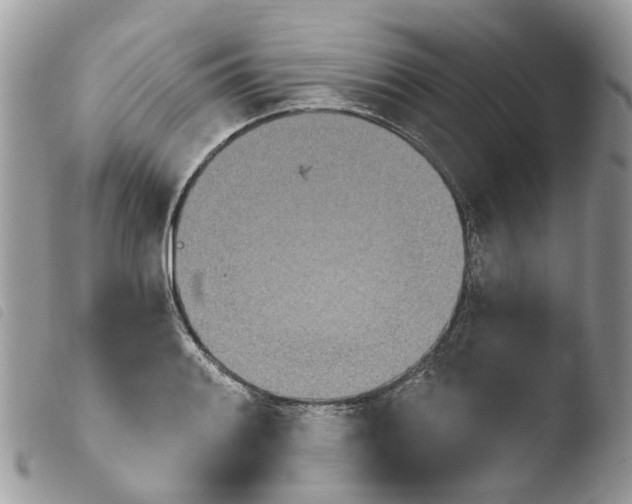 X0000103911084200810171700