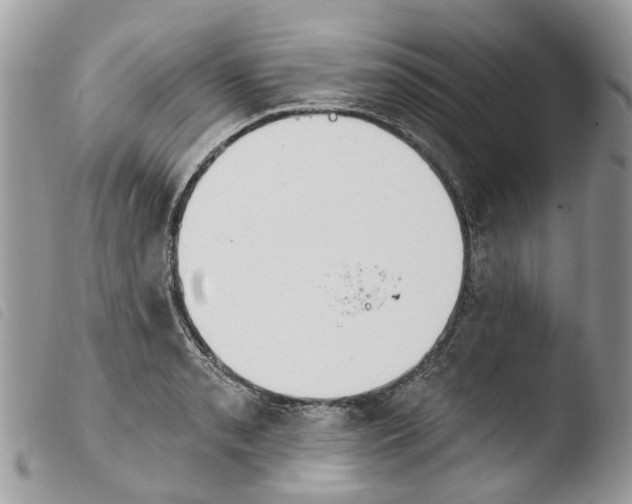 X0000103911085200810171700